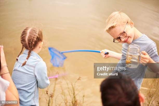 bug catching at the pond - pond snail stock pictures, royalty-free photos & images
