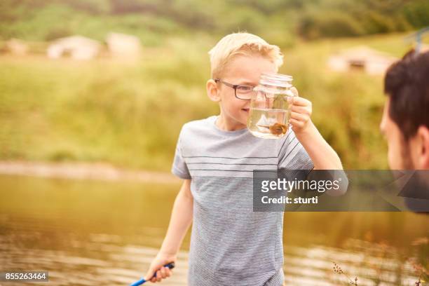 pond dipping success - pond snail stock pictures, royalty-free photos & images