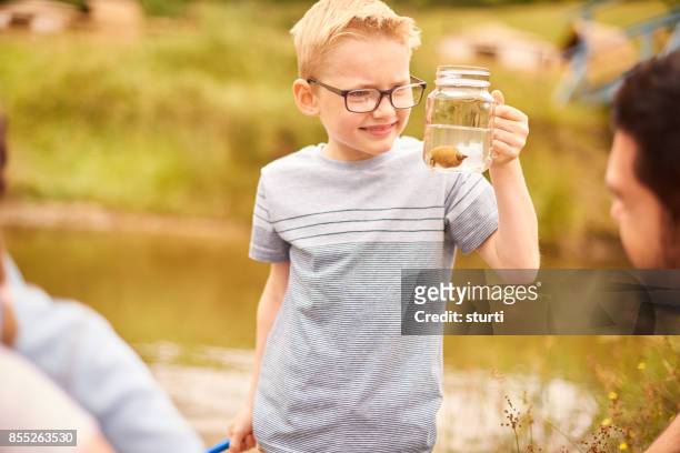 pond fishing for snails - pond snail stock pictures, royalty-free photos & images