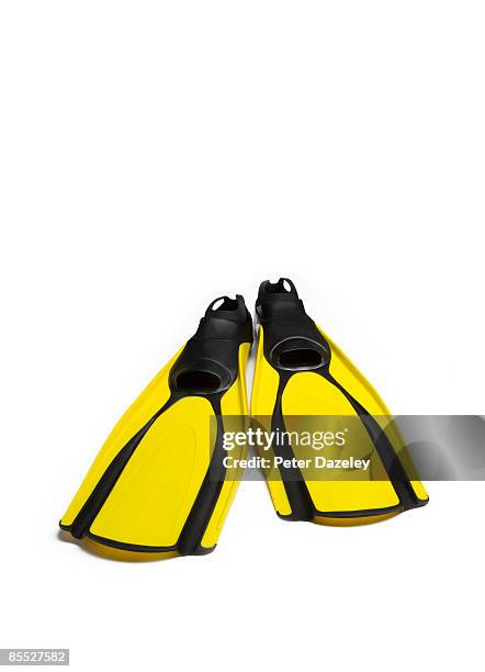 swimming fins on white background. - flippers bildbanksfoton och bilder