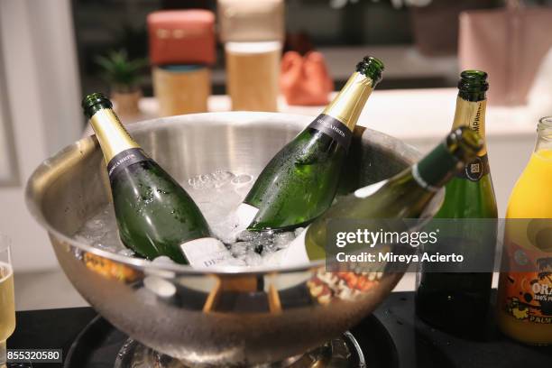 Detail of drinks at the Lancaster Collection presentation during Paris Fashion Week Womenswear Spring/Summer 2018 on September 28, 2017 in Paris,...