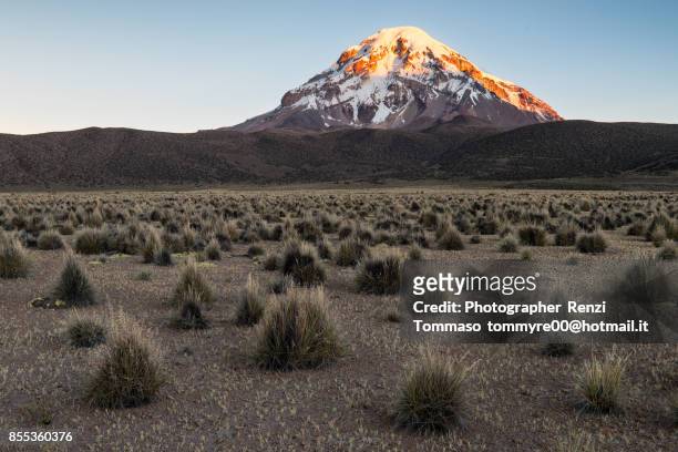 sunset light on sajama mountain, bolivian altiplano - oruro foto e immagini stock