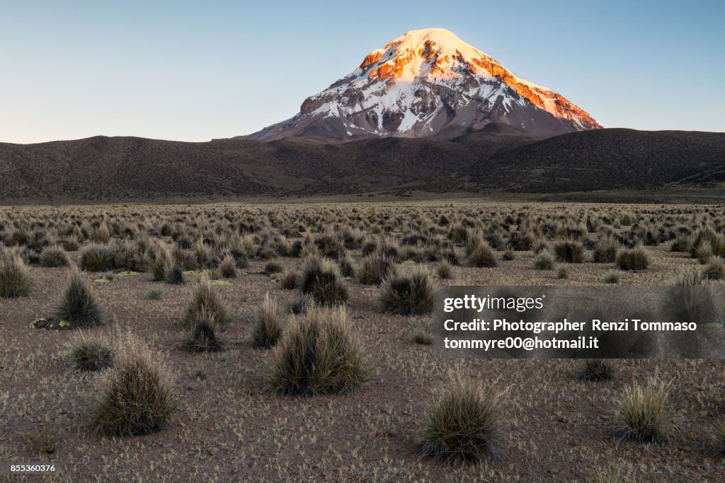 Sunset light on Sajama mountain, Bolivian Altiplano