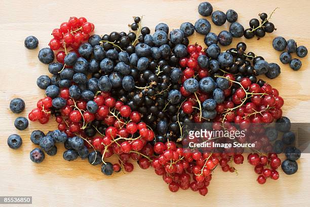blackcurrant cranberry and blueberry - casis fotografías e imágenes de stock