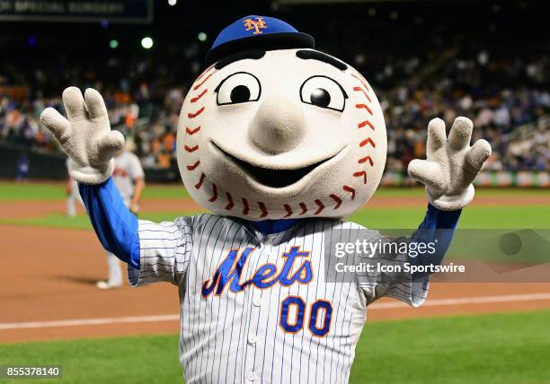 434 New York Mets Mascot Mrs Met Stock Photos, High-Res Pictures, and  Images - Getty Images