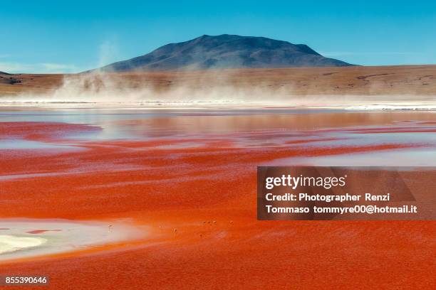 Panoramic view of Laguna Colorada in the Bolivian Altiplano , Bolivia