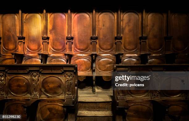 102 Coro (Singer) Stock Photos, High-Res Pictures, and Images - Getty
