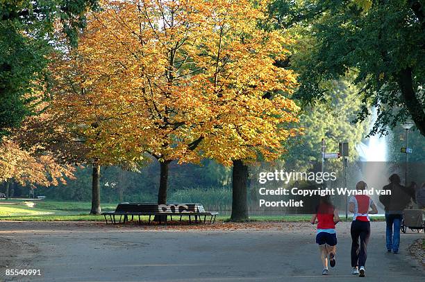 jogging  - amsterdam autumn stock pictures, royalty-free photos & images