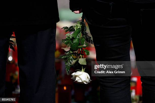 Mourner with a white rose stands in front of flowers and candles outside Albertville high school on March 21, 2009 in Winnenden near Stuttgart,...