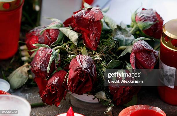 Frozen roses are seen outside Albertville high school on March 21, 2009 in Winnenden near Stuttgart, Germany. 17 year old Tim Kretschmer opened fire...