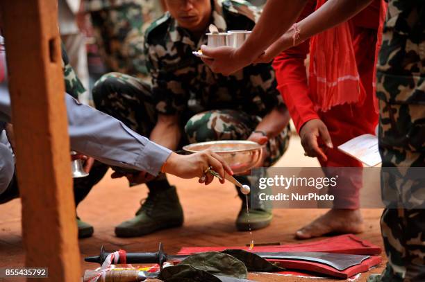 Nepalese priest offering ritual puja before prepares to slaughter on the occasion of Navami, ninth day of Dashain Festival at Basantapur Durbar...