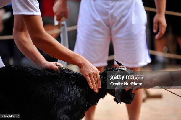 Nepalese devotees prepares to slaughter a goat on the occasion of Navami, ninth day of Dashain Festival at Basantapur Durbar Square, Kathmandu, Nepal...