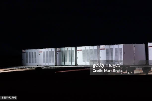 Tesla Powerpack batteries during Tesla Powerpack Launch Event at Hornsdale Wind Farm on September 29, 2017 in Adelaide, Australia. Tesla will build...