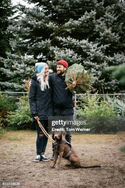 stylish young couple with dog outdoors about to take home pine tree for christmas - tree farm stock pictures, royalty-free photos & images