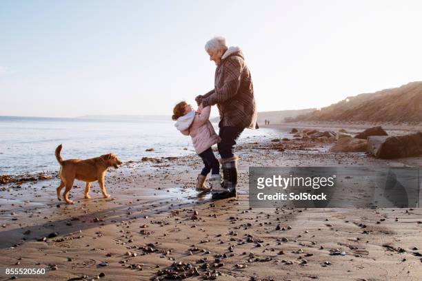 abuela con su nieta en la playa - family children dog fotografías e imágenes de stock