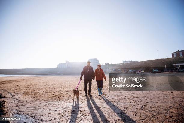 senior couple walking their dog on the beach - coastal feature stock pictures, royalty-free photos & images