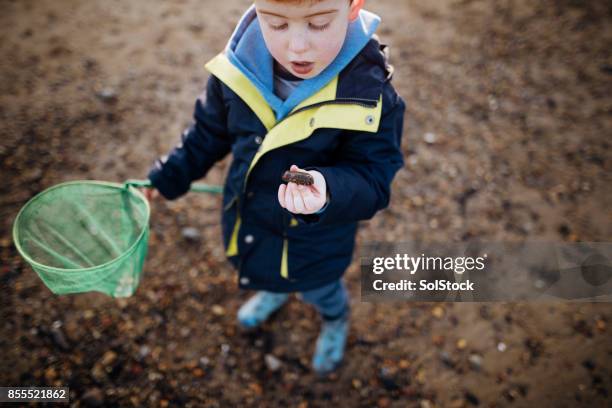 little boy playing on the beach on a winter's day - kids discovery stock pictures, royalty-free photos & images