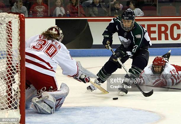 Meghan Agosta of the Mercyhurst Lakers tries to get one past Jessie Vetter of the Wisconsin Badgers as Alycia Matthews defends on March 22, 2009...