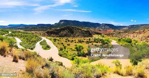 abiquiu, nm: overlooking rio chama in autumn - rabbit brush stock pictures, royalty-free photos & images