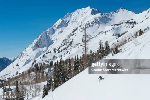 a man and his son powder skiing in utah - wasatch mountains stock pictures, royalty-free photos & images