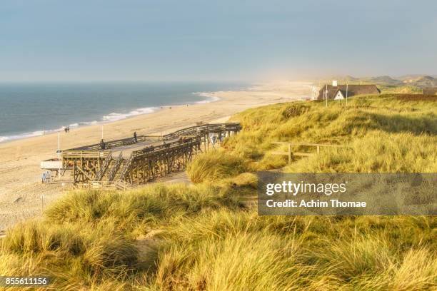 sylt island, germany, europe - sylt stock-fotos und bilder