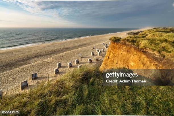 sylt island, germany, europe - north frisia stock pictures, royalty-free photos & images