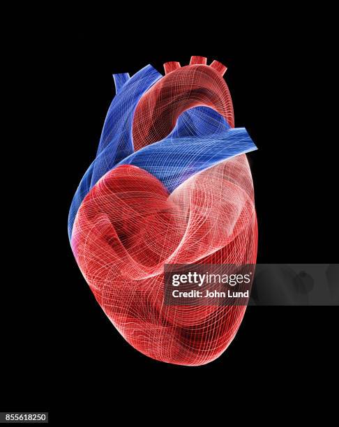 energetic human heart - organen stockfoto's en -beelden