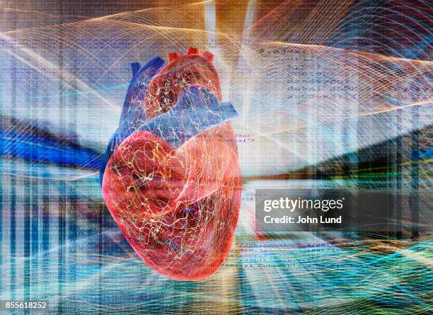 energetic active human heart - cardiovascular system stock illustrations stock pictures, royalty-free photos & images