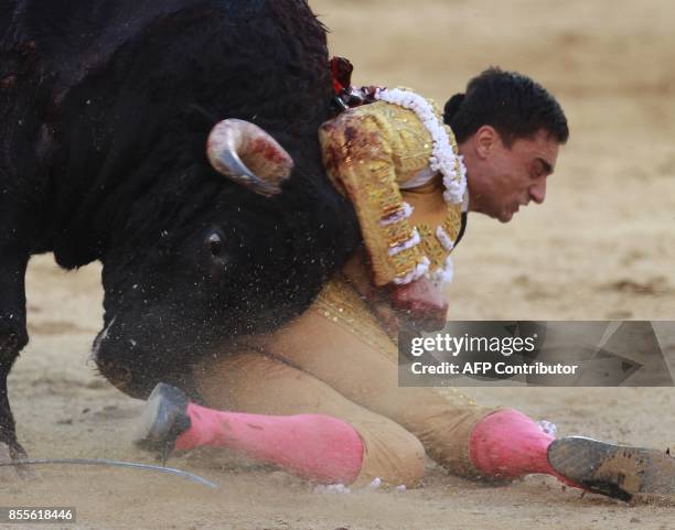 Spanish matador Paco Urena is attacked by a bull during the Fall bullfighting festival at Las Ventas bullring in Madrid on September 29, 2017 / AFP...