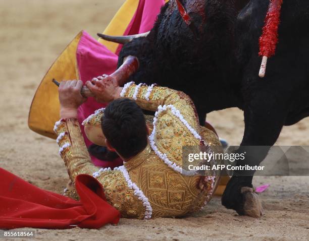 Spanish matador Paco Urena is attacked by a bull during the Fall bullfighting festival at Las Ventas bullring in Madrid on September 29, 2017 / AFP...