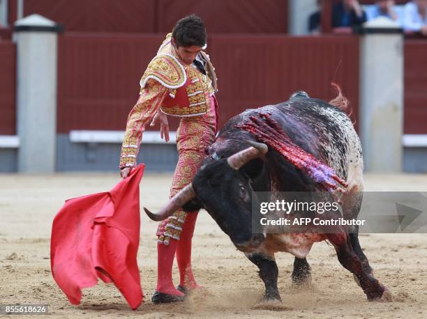 French matador Sebastian Castella performs a pass on a bull during the Fall bullfighting festival at Las Ventas bullring in Madrid on September 29,...