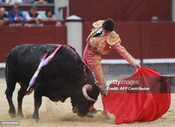 French matador Sebastian Castella performs a pass on a bull during the Fall bullfighting festival at Las Ventas bullring in Madrid on September 29,...