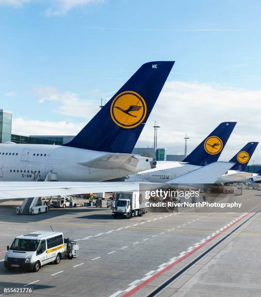 lufthansa airliners - lufthansa stock pictures, royalty-free photos & images