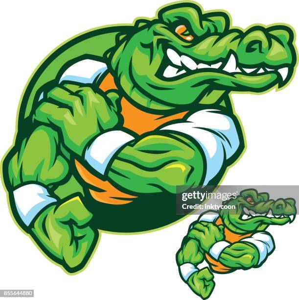 gatorflex - crocodile stock illustrations