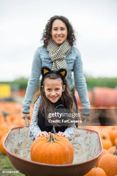 moeder en dochter op pompoen patch boerderij - asian mother and daughter pumpkin stockfoto's en -beelden