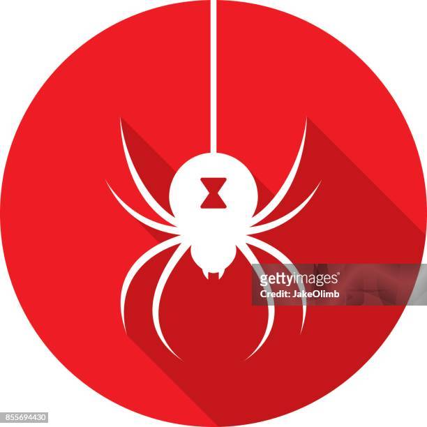 ilustraciones, imágenes clip art, dibujos animados e iconos de stock de silueta del icono de spider - black widow spider