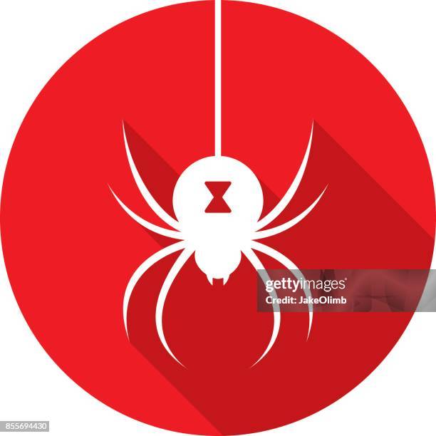 spider icon silhouette - black widow spider stock illustrations