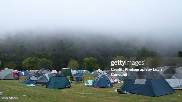morning mist on the camp site - camping new south wales stock pictures, royalty-free photos & images