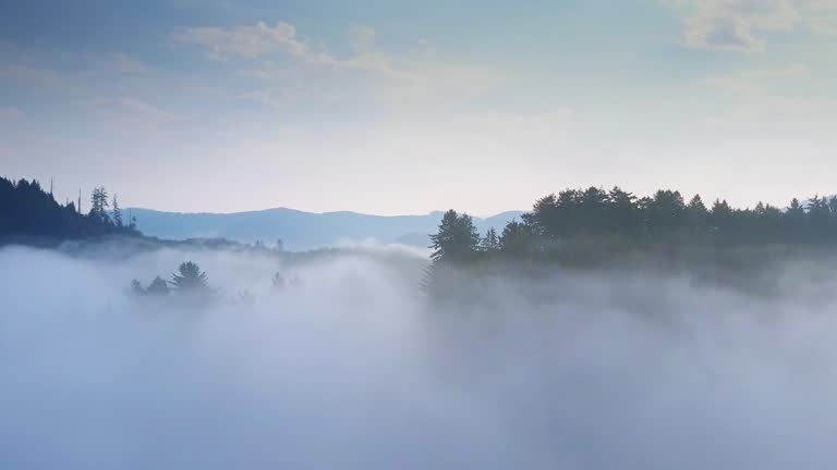 imagen en miniatura de vídeo