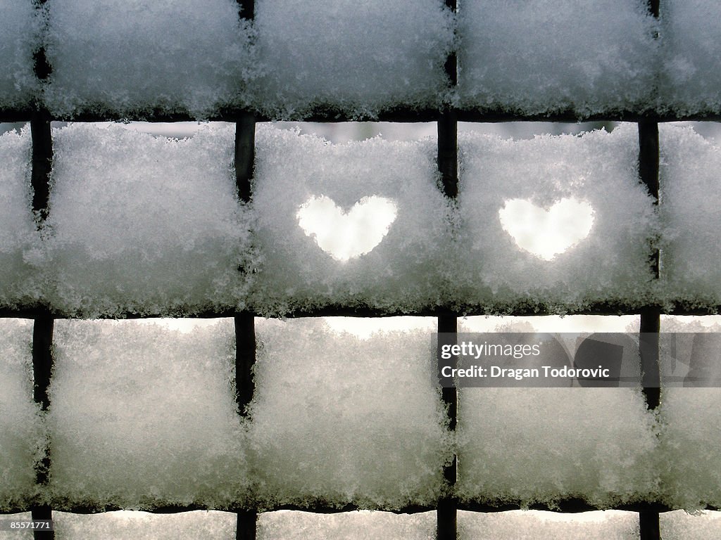 Happy Valentine's Day