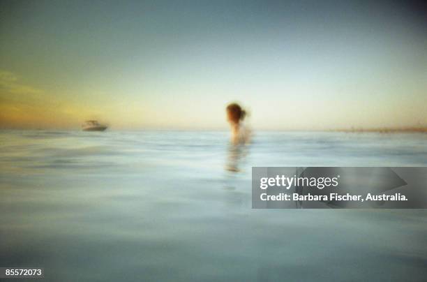 ocean dip - lady barbara stockfoto's en -beelden