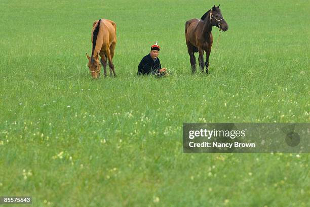 inner mongolian horseman in grasslands - abagnar qi foto e immagini stock