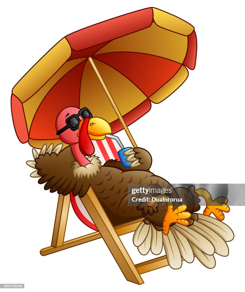 Cartoon Turkey Bird Sitting On Beach Chair High-Res Vector Graphic - Getty  Images