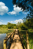 summer lake at stanborough park Welwyn garden city