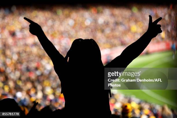 Tigers fan shows his support during the 2017 AFL Grand Final match between the Adelaide Crows and the Richmond Tigers at Melbourne Cricket Ground on...
