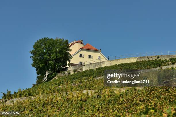 weinberge und hütten - kanton waadt stock-fotos und bilder