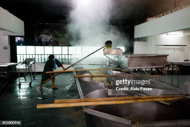 philippines, panay island, fair trade production of organic and raw cane sugar called mascobado - melaço imagens e fotografias de stock