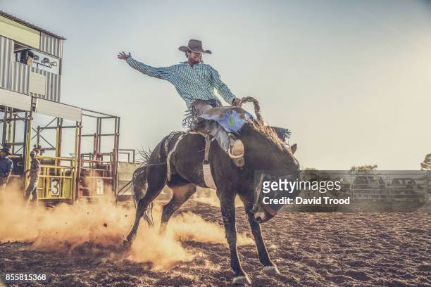 a rodeo in central queensland, australia. - david trood stock pictures, royalty-free photos & images