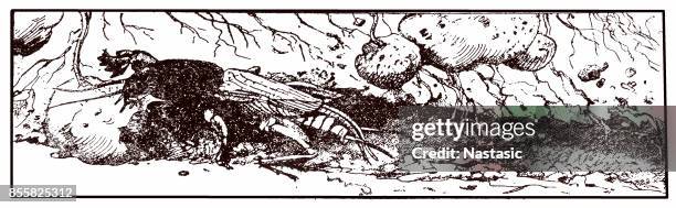 mole cricket (gryllotalpa gryllotalpa) eating potato - mole cricket stock illustrations