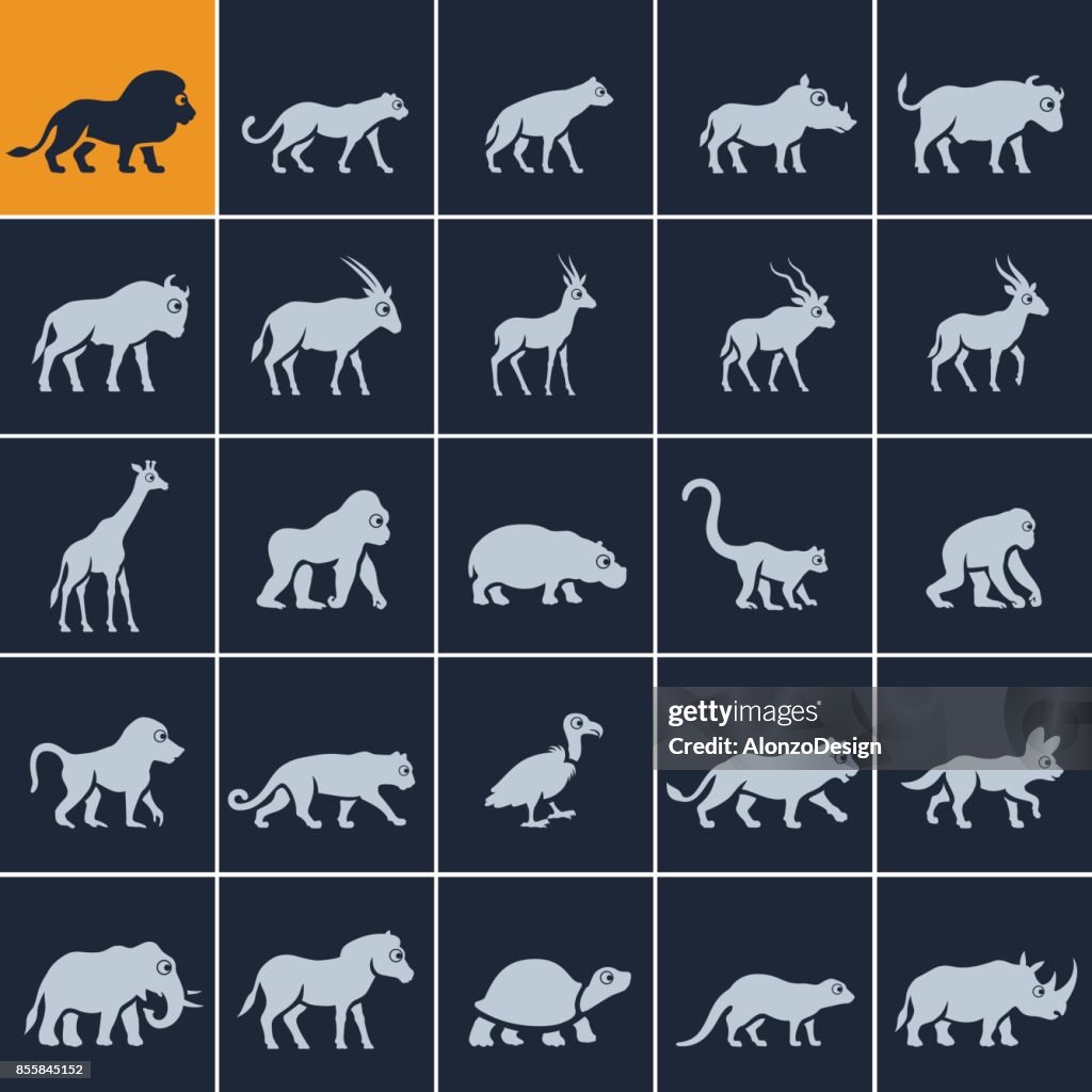 African Animal Icons